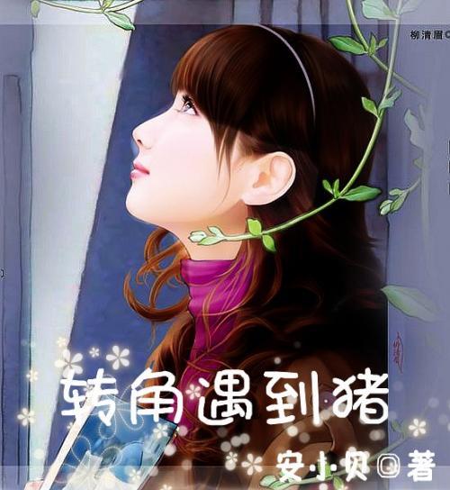 密室之逝夜流转