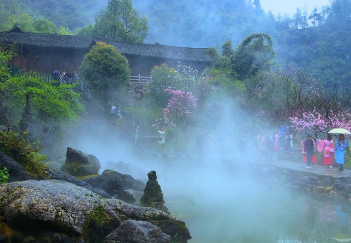 聚焦代表通道 | 黄成植:踏实做好河南茶产业 注重茶文化的传播和延续
