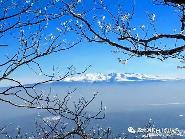 新华联文旅易主：实控人由傅军变更为盈新科技实控人王赓宇