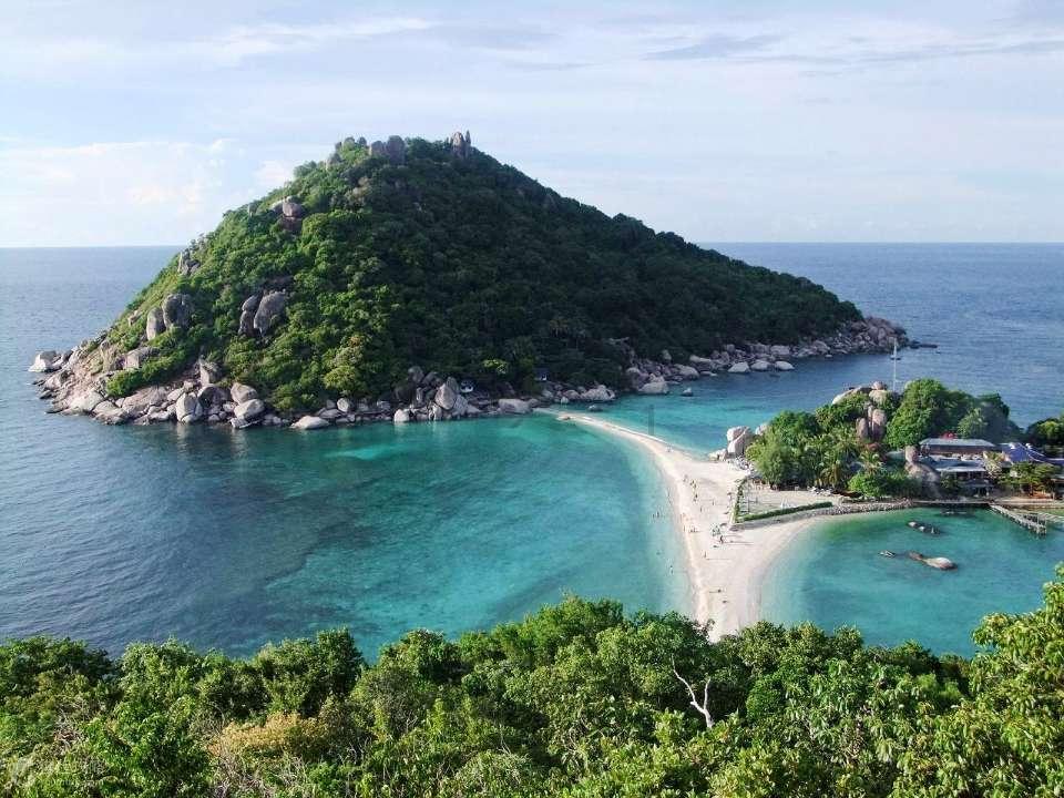 逃离亚洲丛林