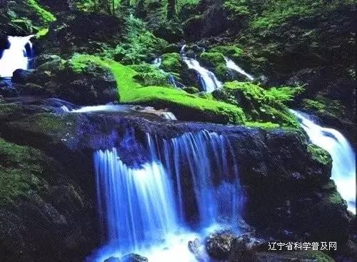 滨州市人社局：一条短信 将“无感”服务升级为群众的“有感”幸福