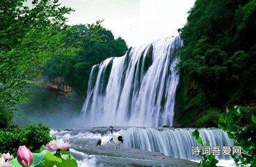 小猫钓鱼正版下载中文版