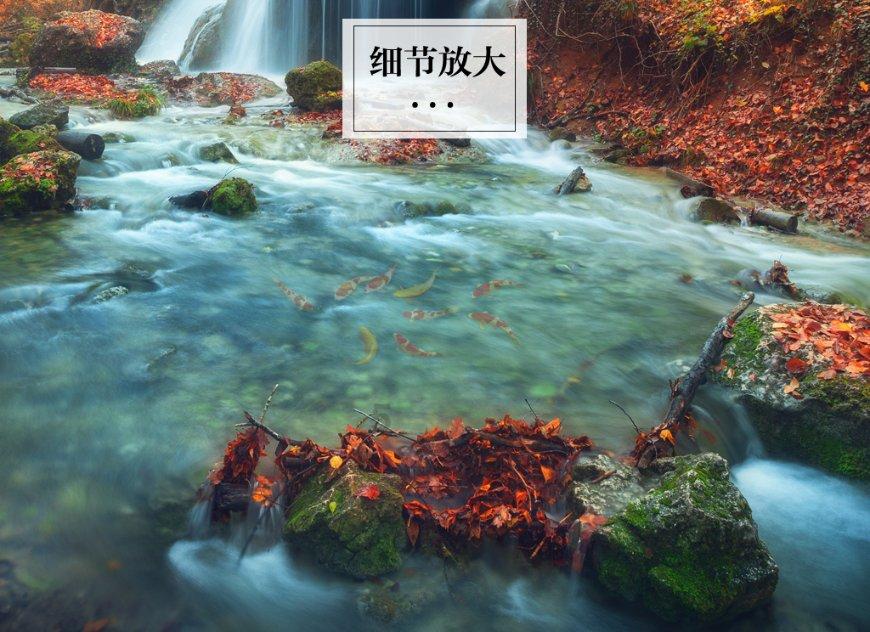 逗小猴开心系列163