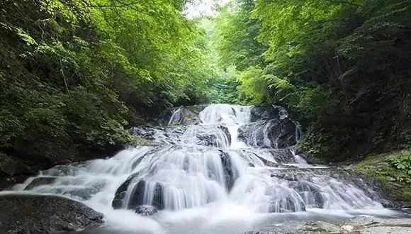 逃离沙地