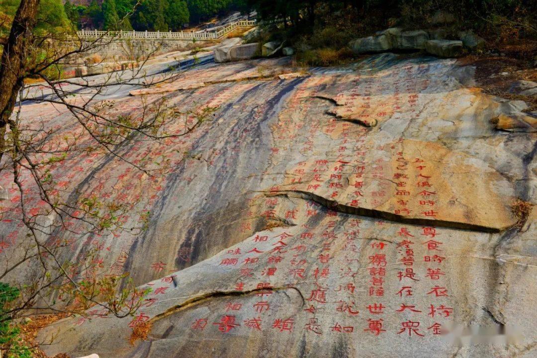 狐狸与乌鸦的故事(中文)游戏画面