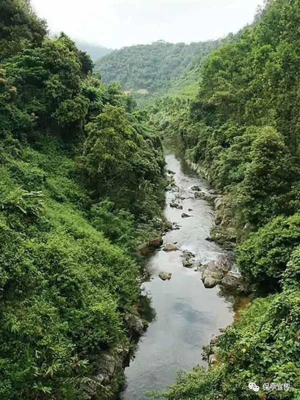 燃烧吧大脑免广告最新版