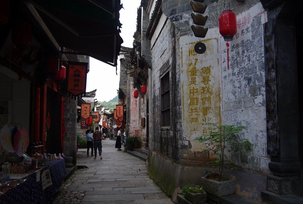 饿狮救援