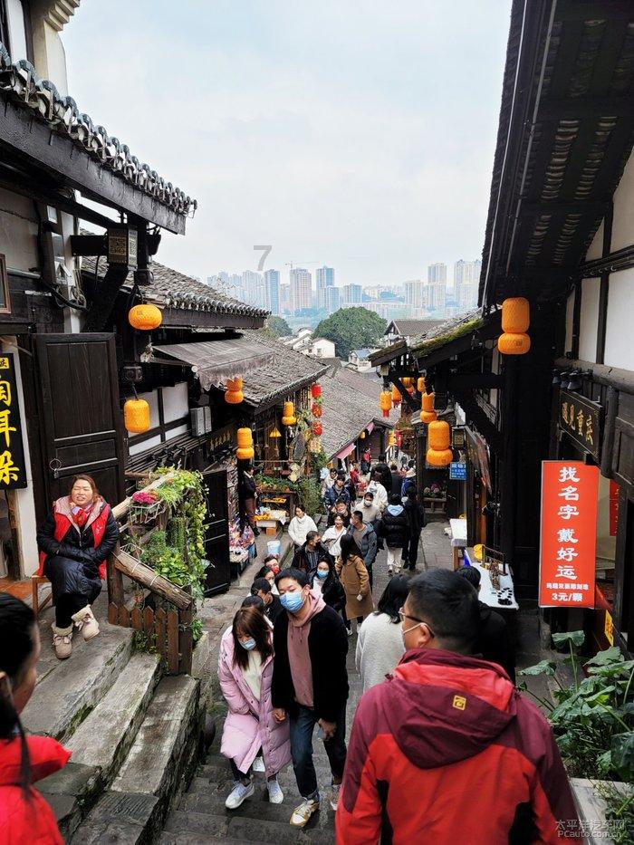僵尸女友爱爬树